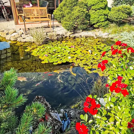 Prázdninový dům U Anicky By Interhome Vrbova Lhota