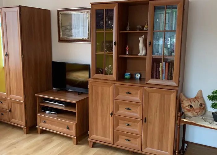 U Anicky By Interhome * Vrbova Lhota